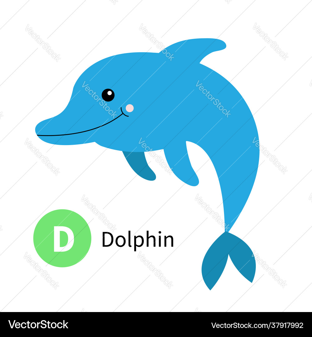 Letter d dolphin zoo animal alphabet english abc Letter d dolphin zoo animal alphabet english abc vector image
