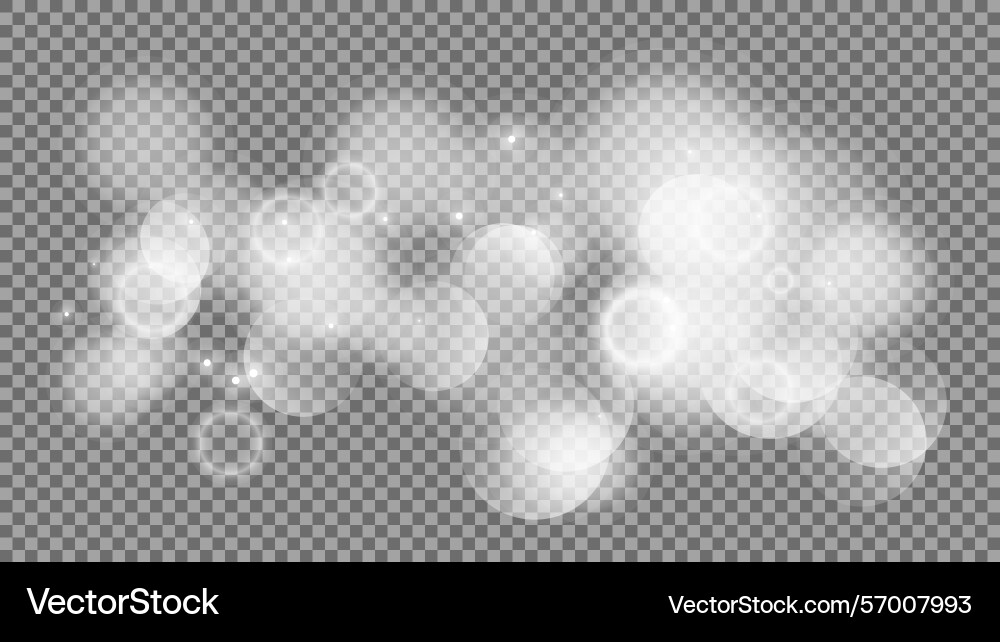 Bokeh circles on transparent background Bokeh circles on transparent background vector image