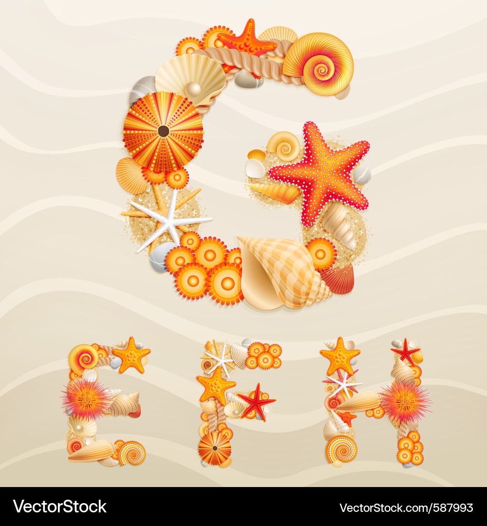 Shell Font Alphabet vector image