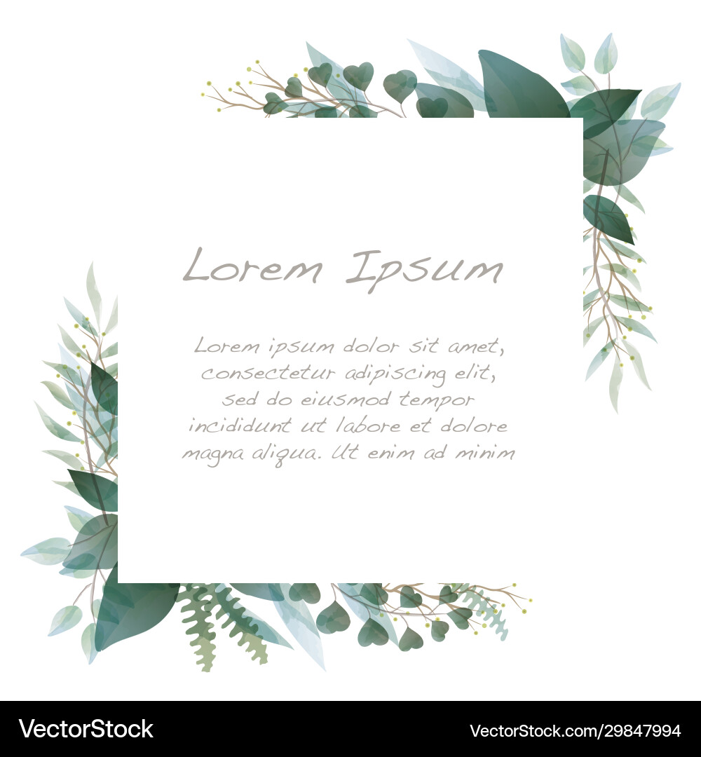Botanical Watercolor Frame Vector Image