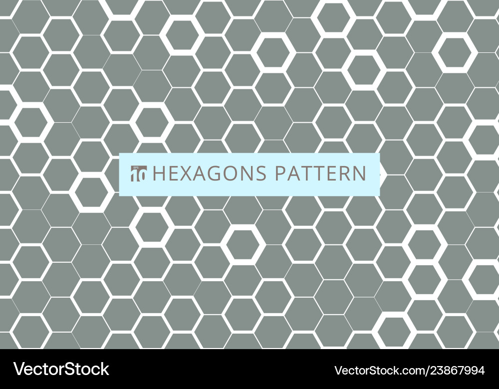 Modern Hexagonal Pattern vector image