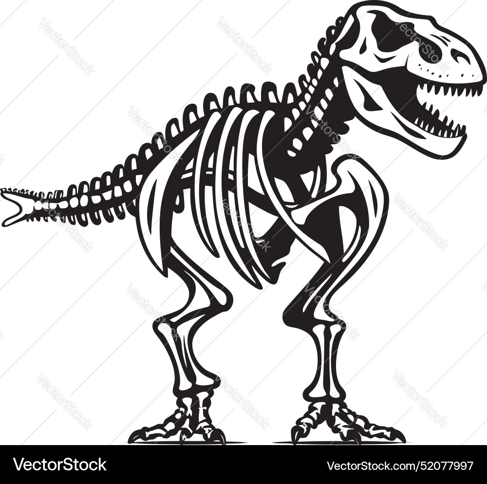 Fossilized tyrant dino skeleton logo design Fossilized tyrant dino skeleton logo design Vector Image