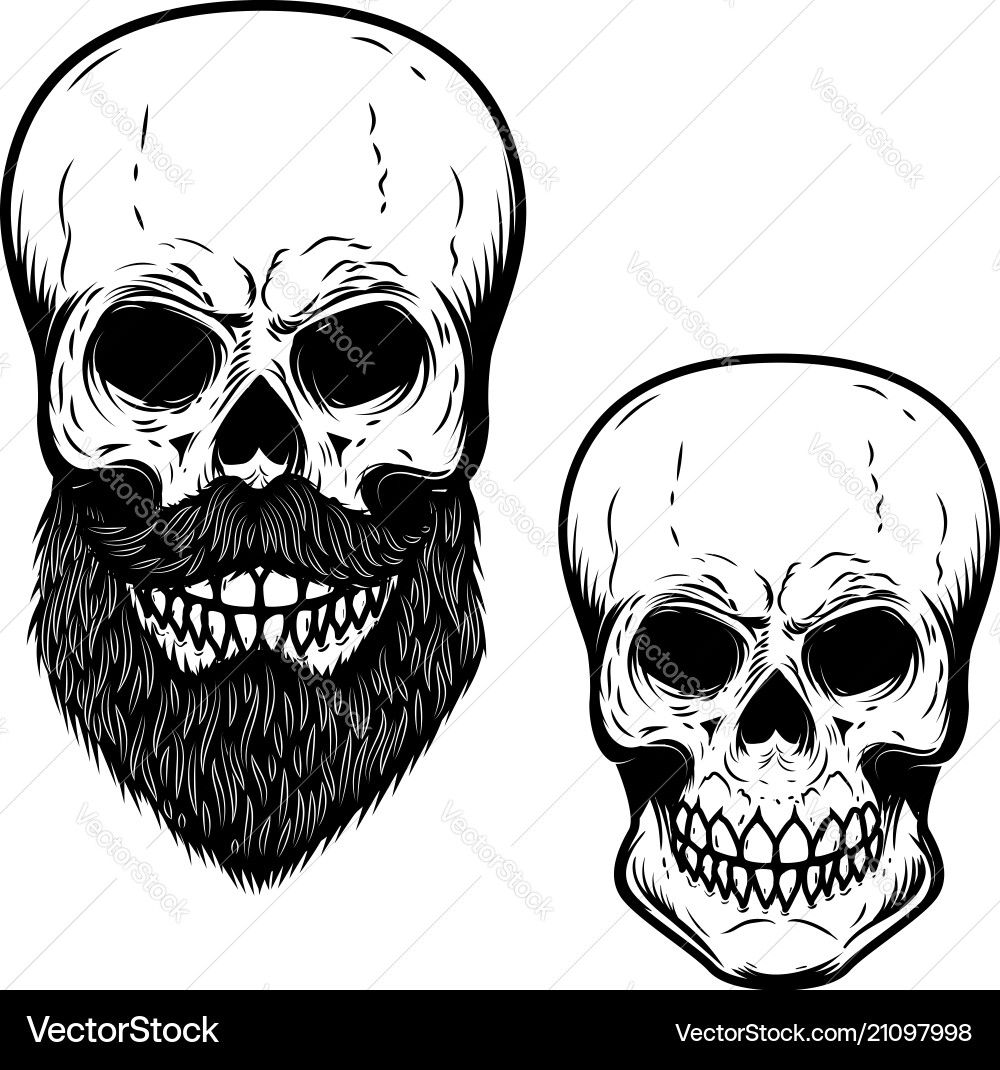 Bearded skull isolated on white background design Vector Image