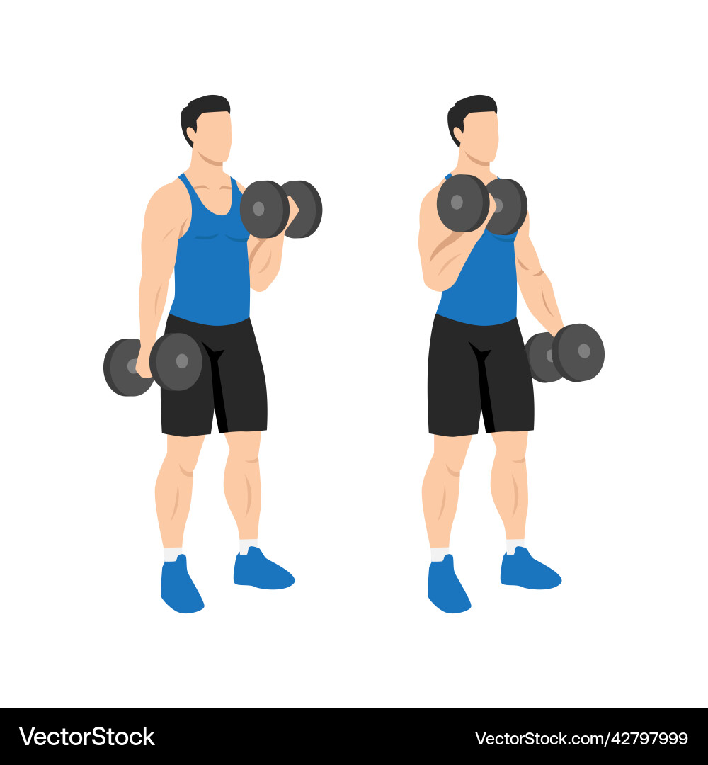 Man Performing Dumbbell Alternating Curls vector image