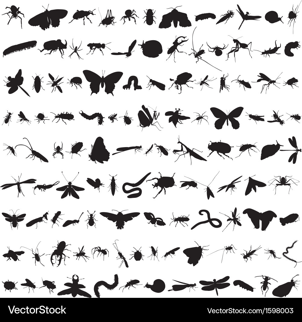 100 plus insects set Royalty Free Vector Image