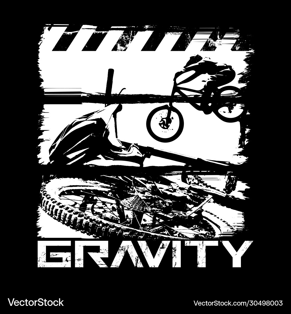 Mountain Bike Freeride & Enduro Vector Image