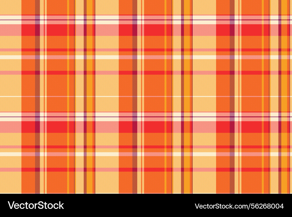 Identity textile plaid pattern net texture tartan Vector Image