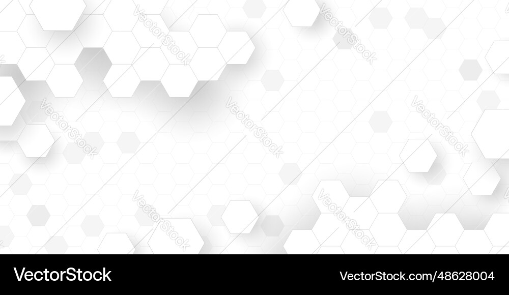 Modern White Hexagon Pattern Background vector image