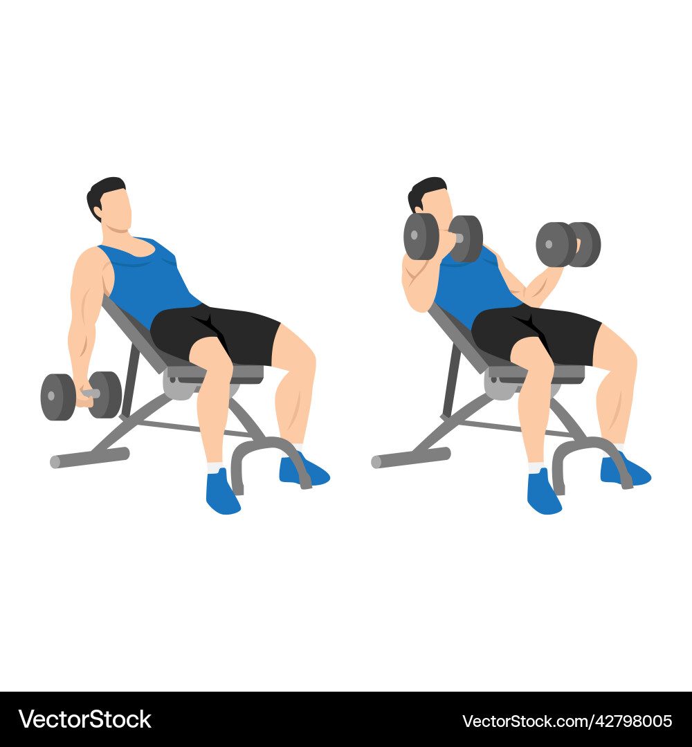 Man doing incline dumbbell curl flat Man doing incline dumbbell curl flat vector image