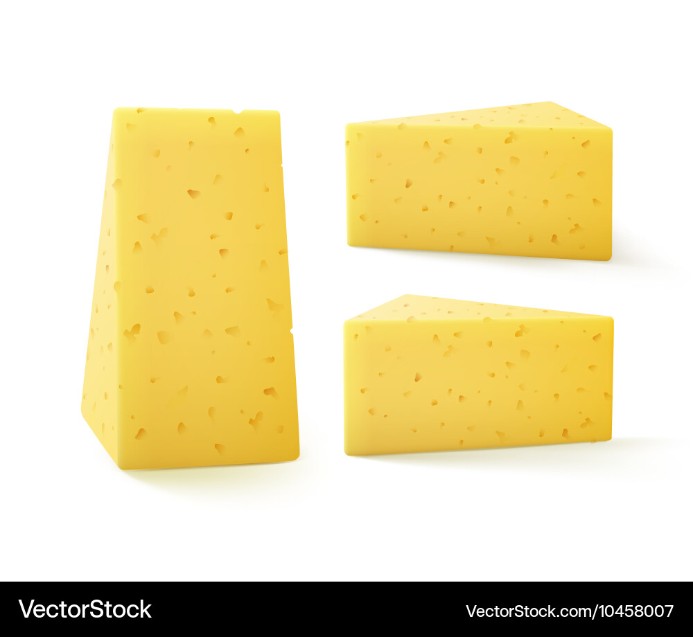 Set of triangular pieces cheese on background Vector Image
