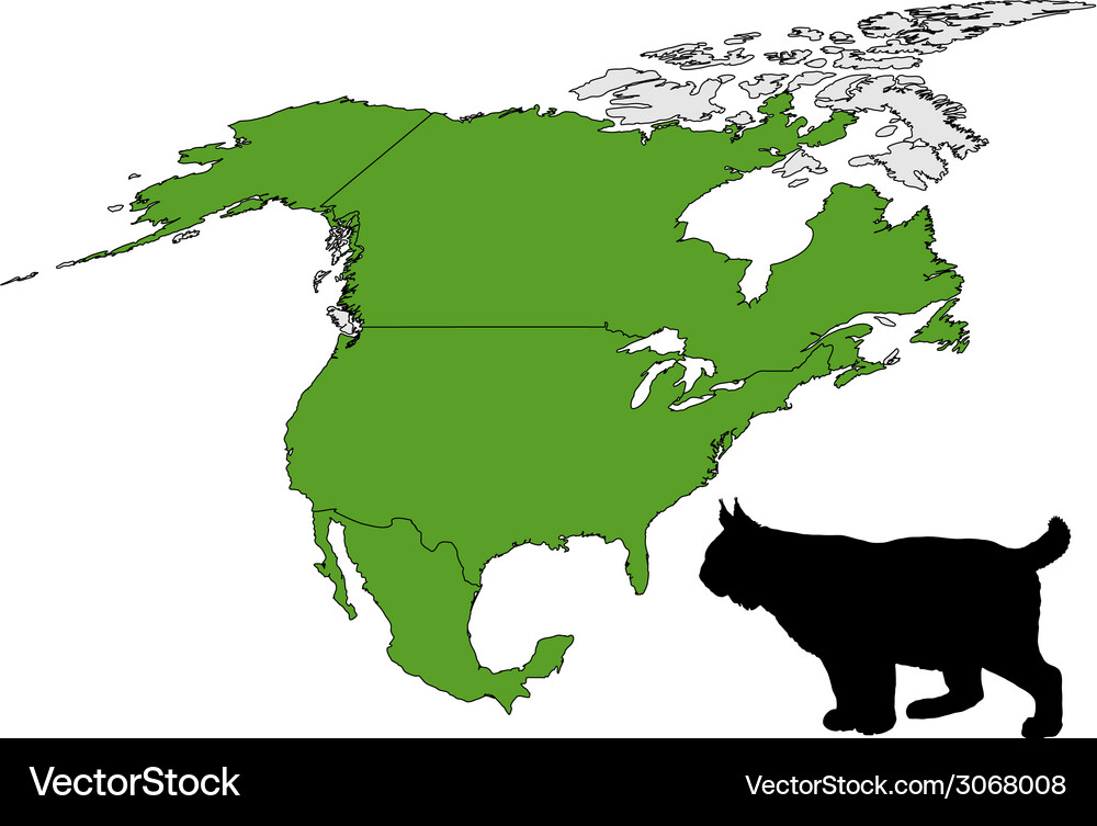 Lynx range map Vector Image
