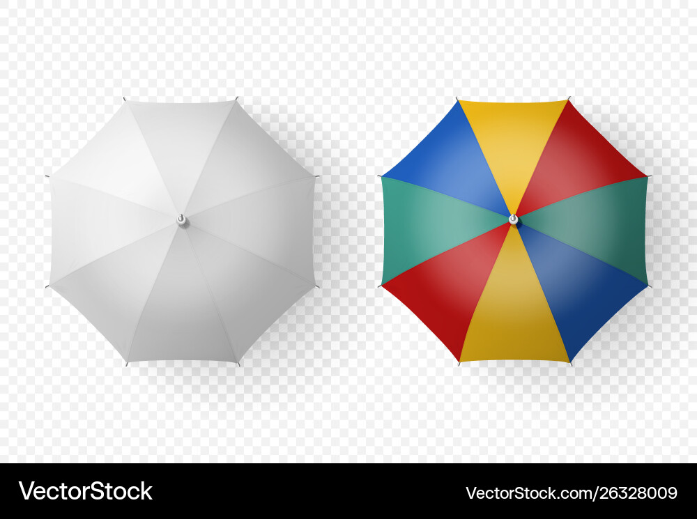 3d realistic render white and color blank 3d realistic render white and color blank vector image