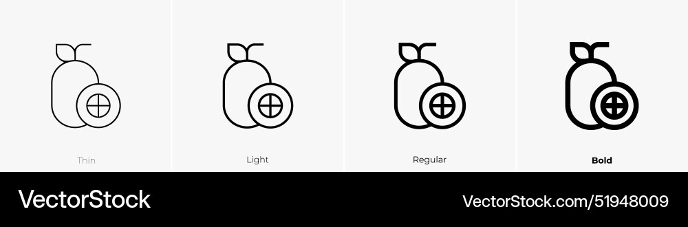 Kumquat icon thin light regular and bold style Vector Image