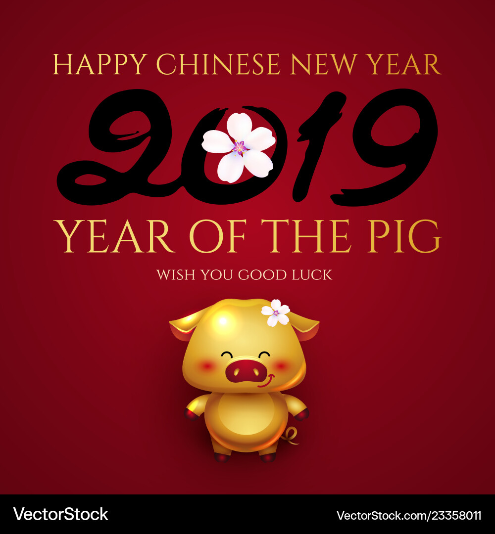 Happy chinese new 2019 year invitation card Happy chinese new 2019 year invitation card vector image