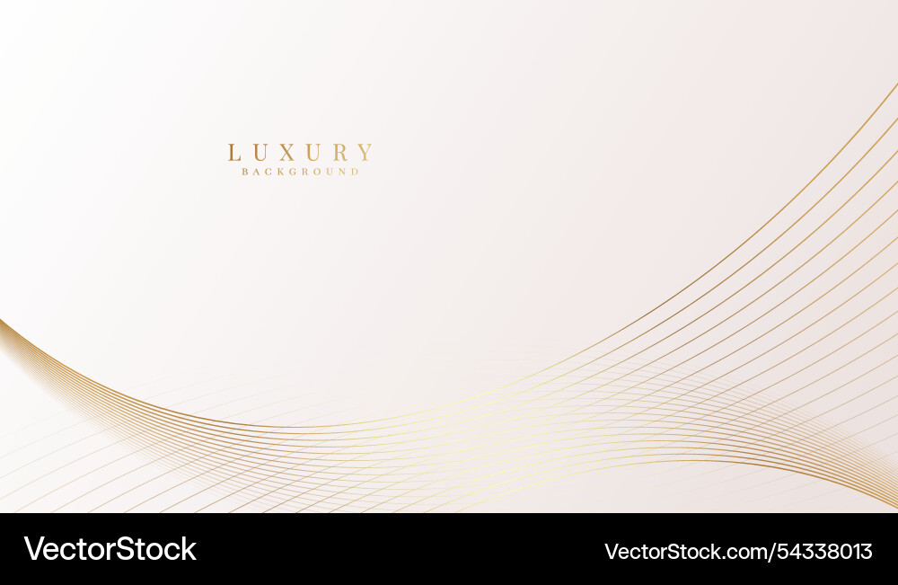 White background with elegant and golden lines White background with elegant and golden lines vector image