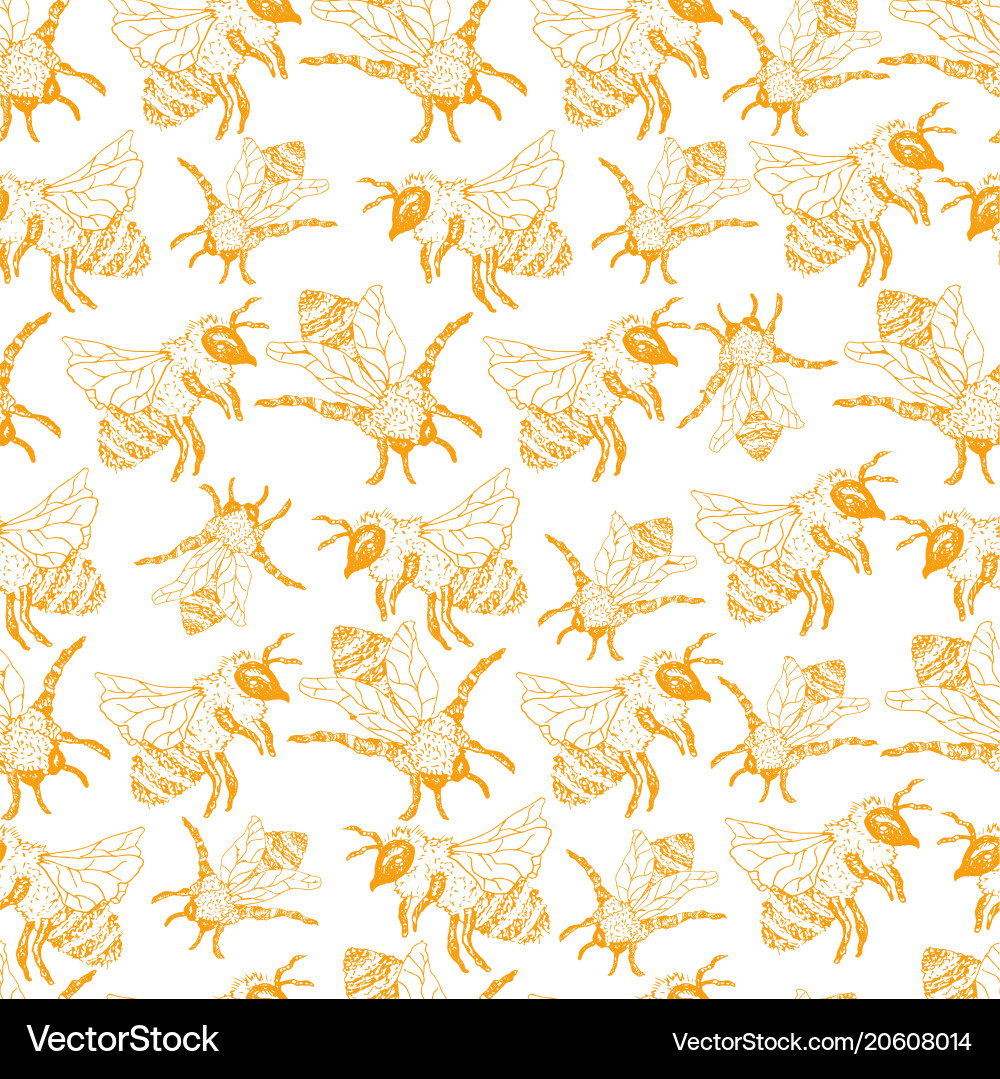 Honeybee Pattern Sketch Vector Image