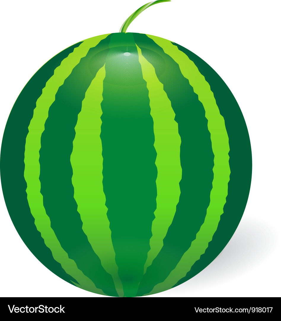 Refreshing Watermelon Slice Vector Image
