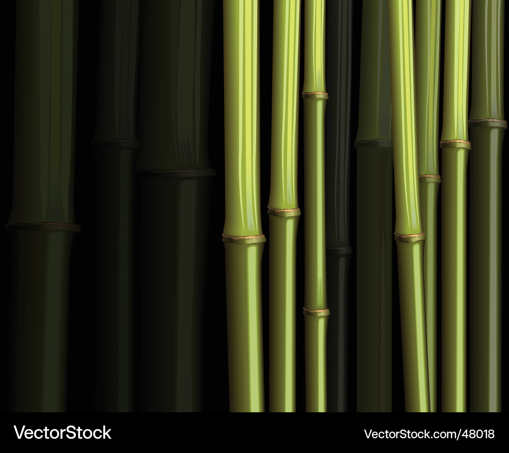 Bamboo Royal Kostenloses Vektorbild VectorStock