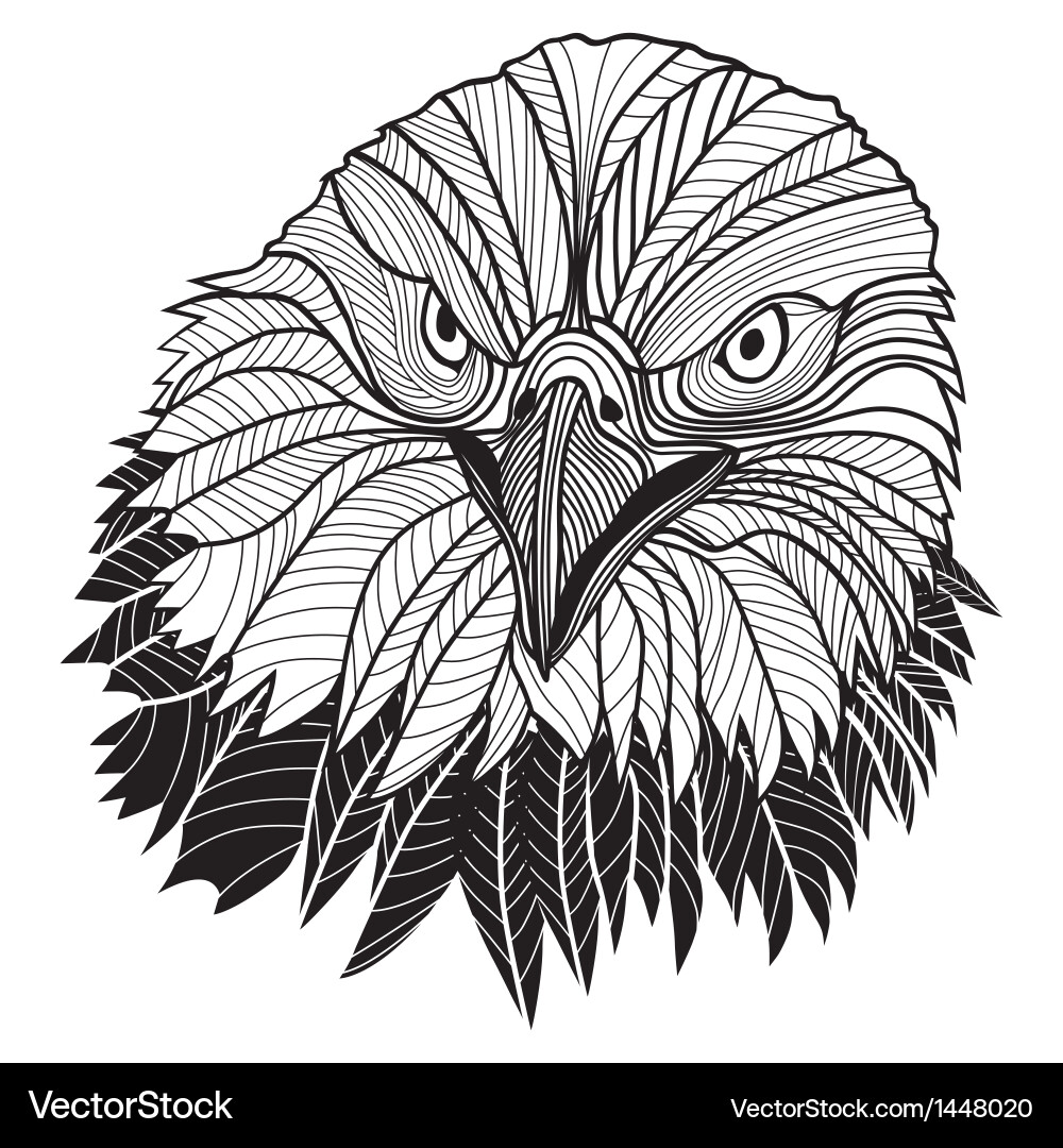 Bird bald eagle head Royalty Free Vector Image