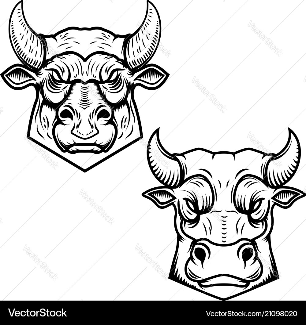 Bull Heads - Isolated Collection Vector Image