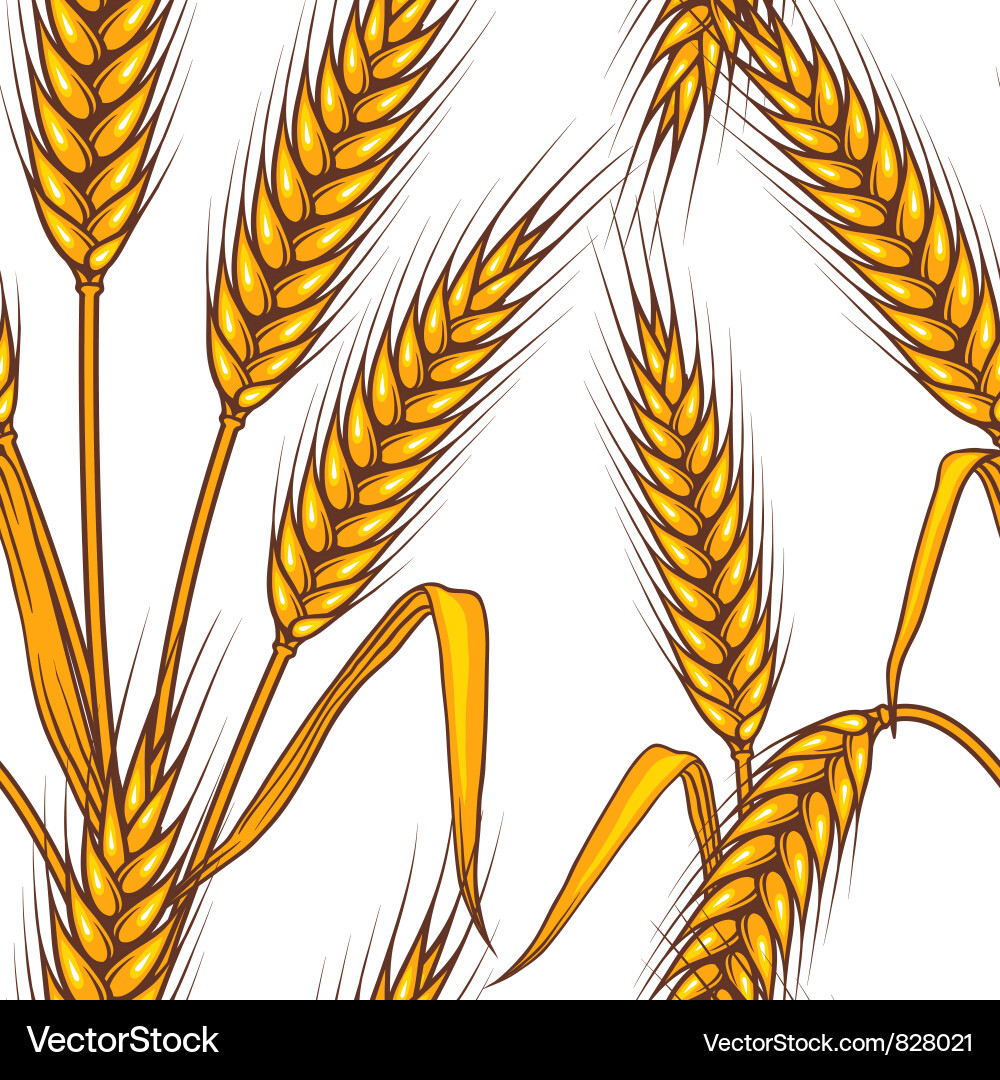 Golden Wheat Field Pattern vector image