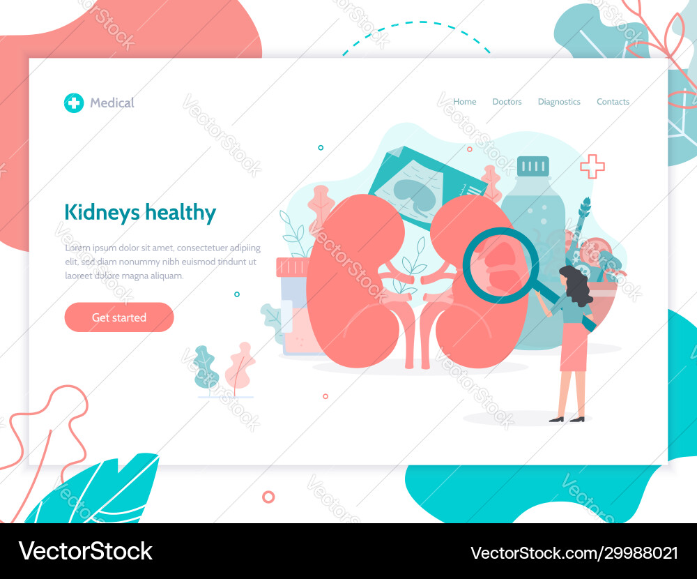 Kidney Health & Wellness Banner Vector Image