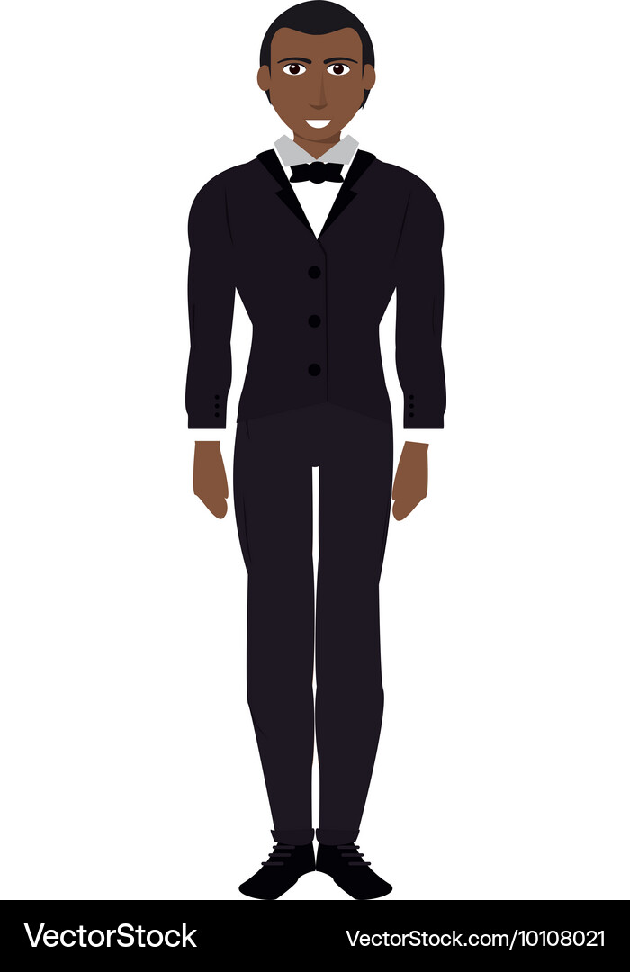 Single man with suit and bowtie icon Vector Image