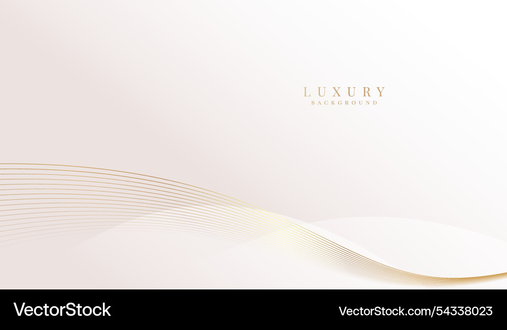 White background with elegant and golden lines White background with elegant and golden lines vector image