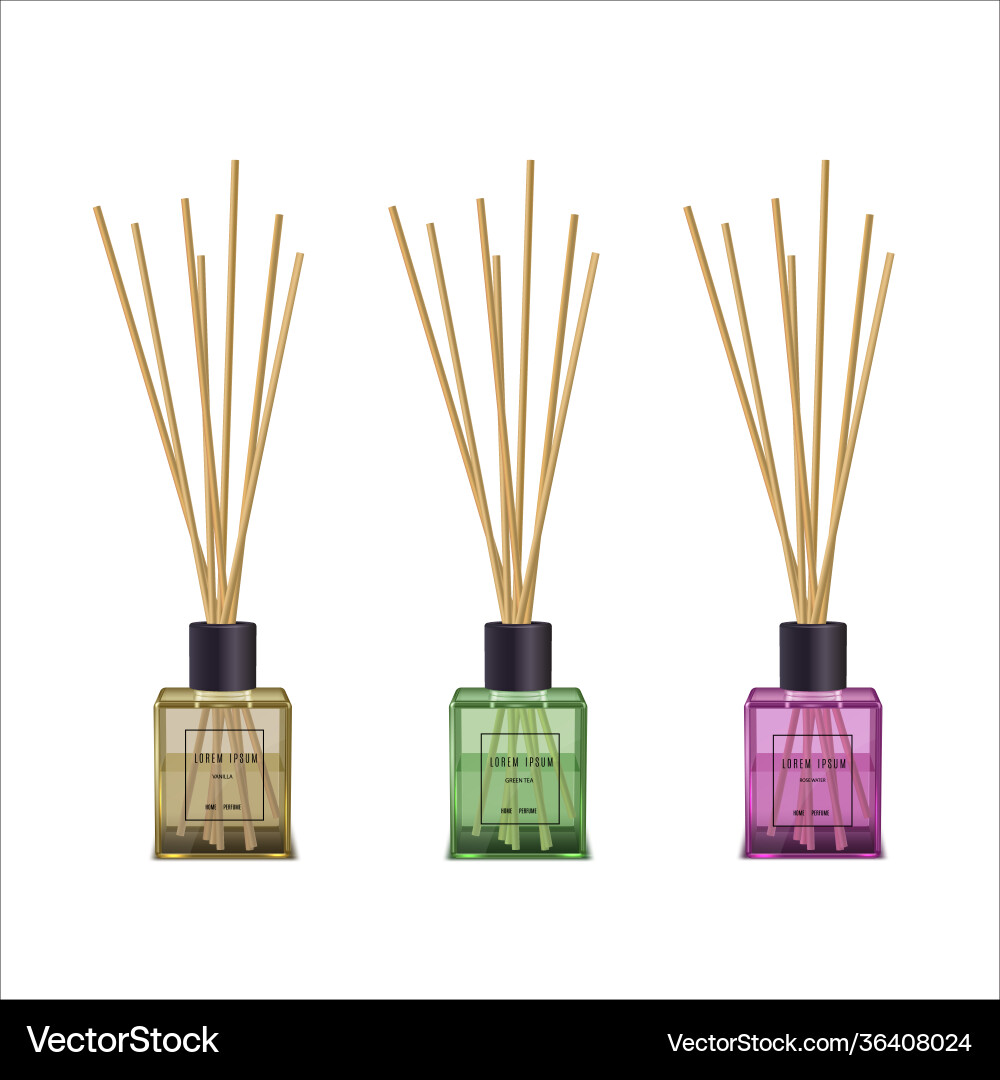 Aromatic Reed Diffuser Set Vector Image