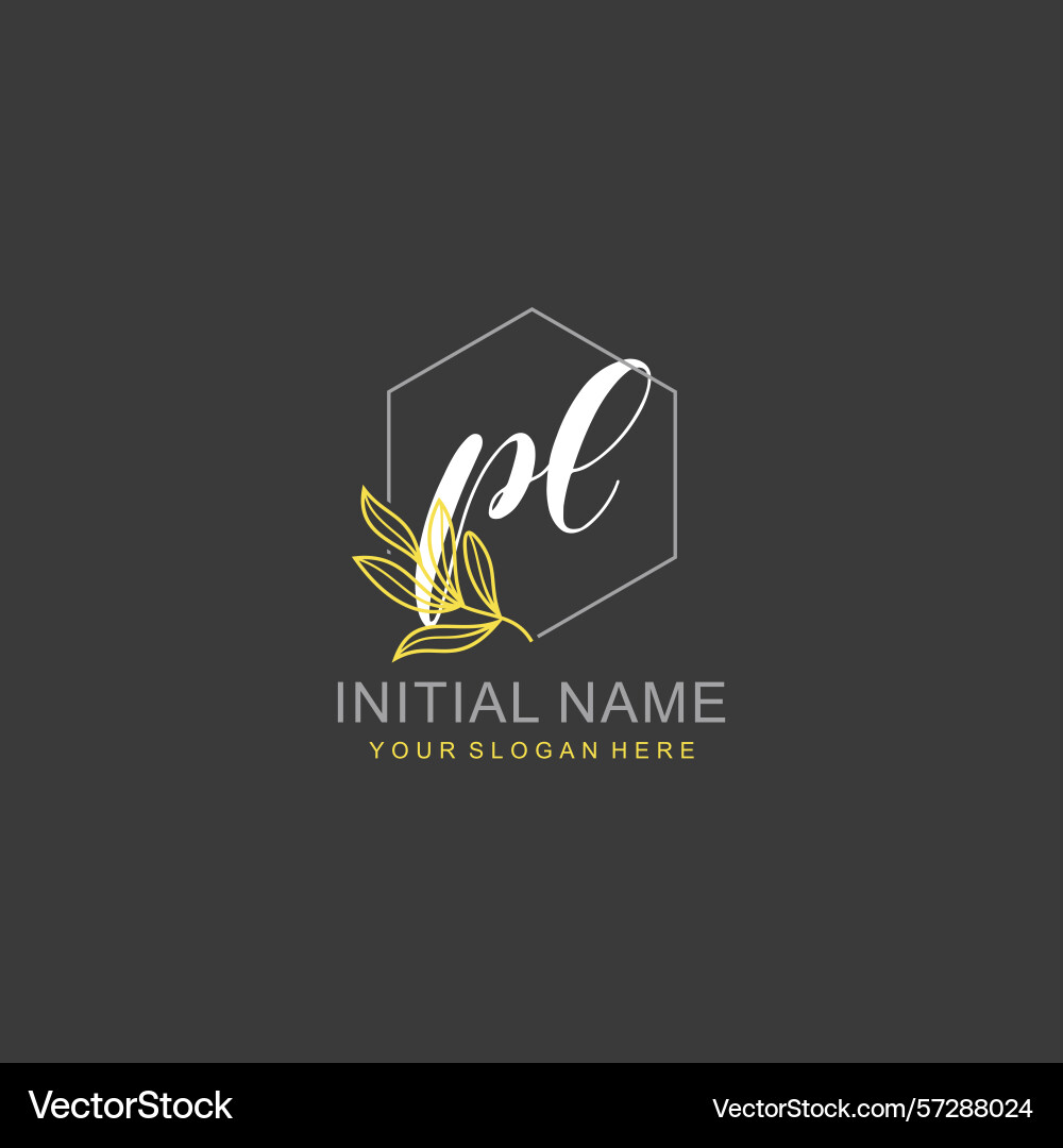 Pl initial logo templates with botanical elements Pl initial logo templates with botanical elements vector image