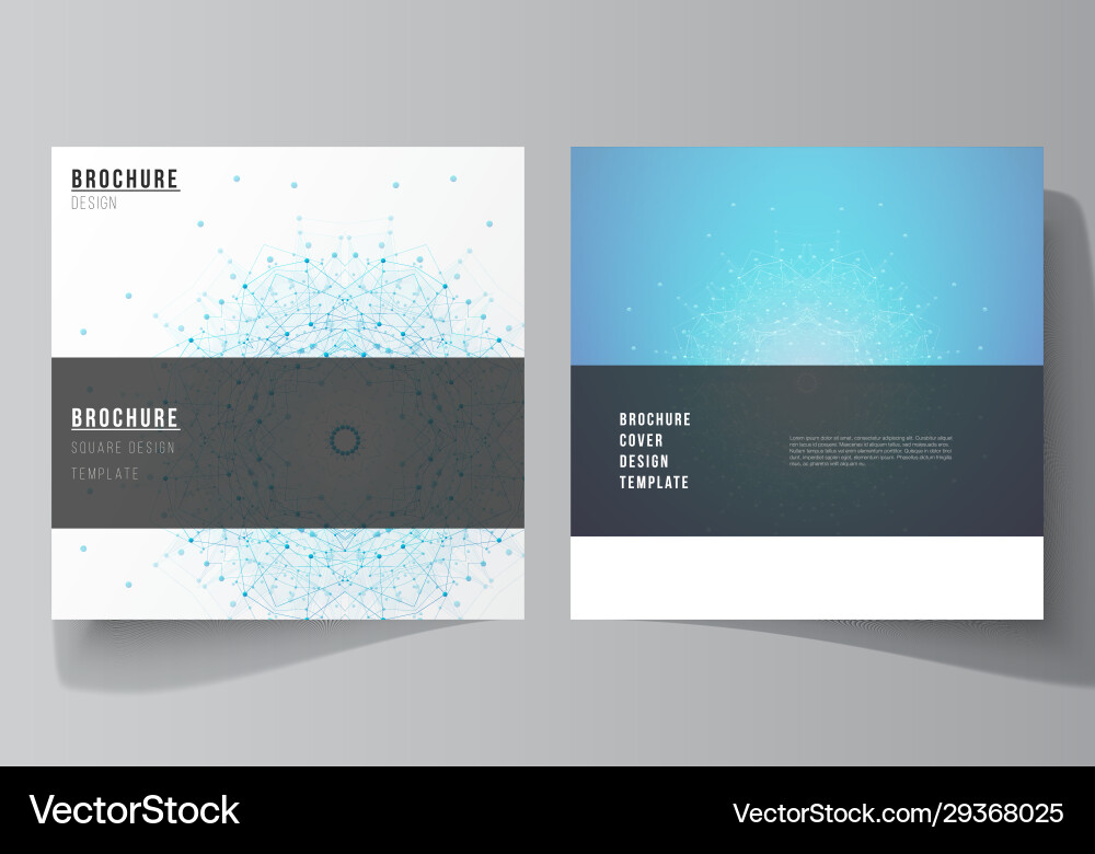 Minimal layout two square Minimal layout two square vector image
