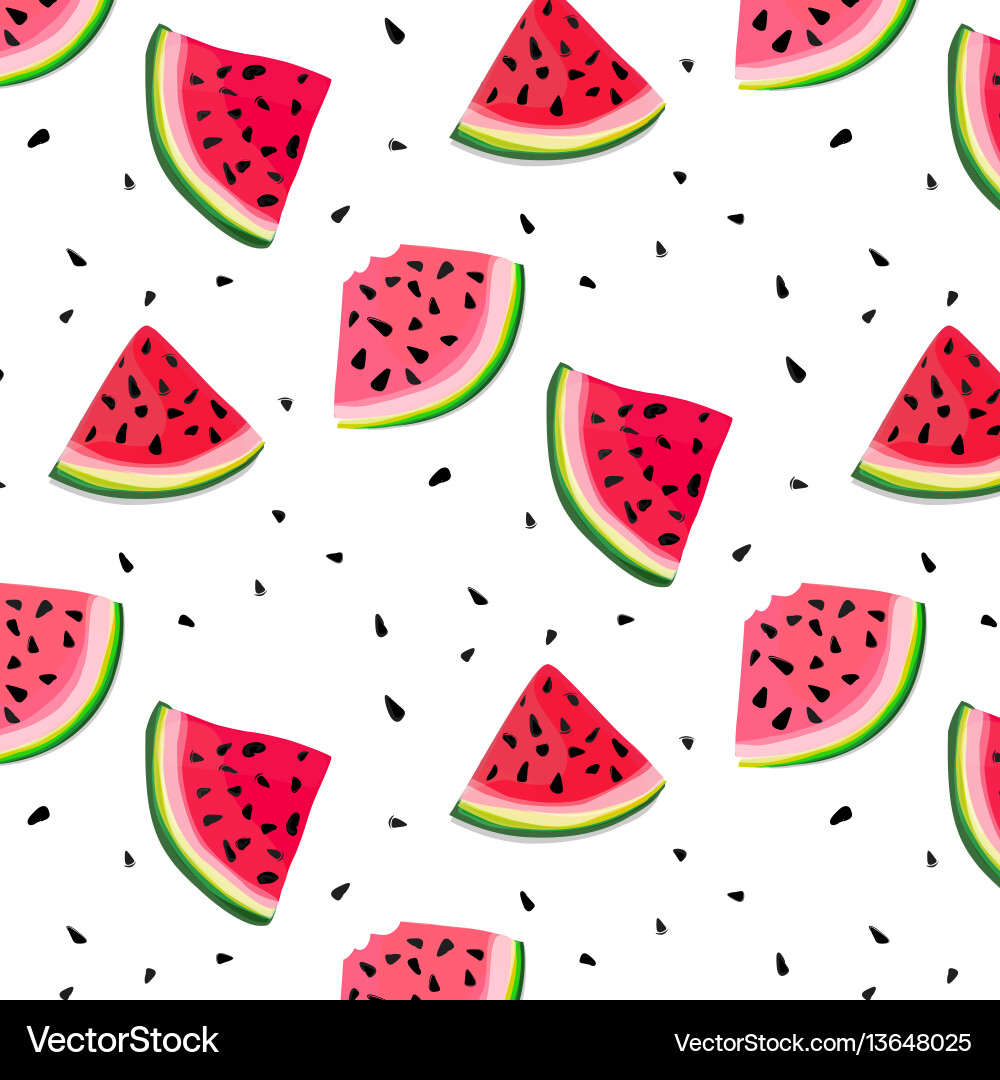 Watermelon Slice Pattern vector image