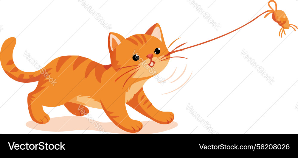Orange Cat Playing with String Toy Vector Image