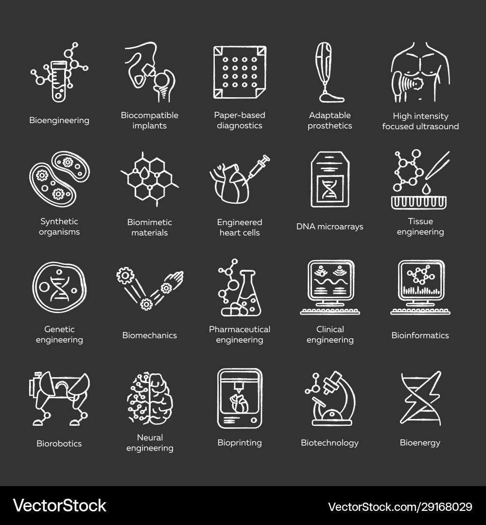 Bioengineering chalk icons set biotechnology vector image