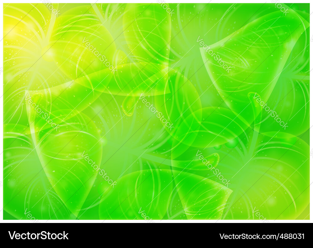 Leaf background Vector Image