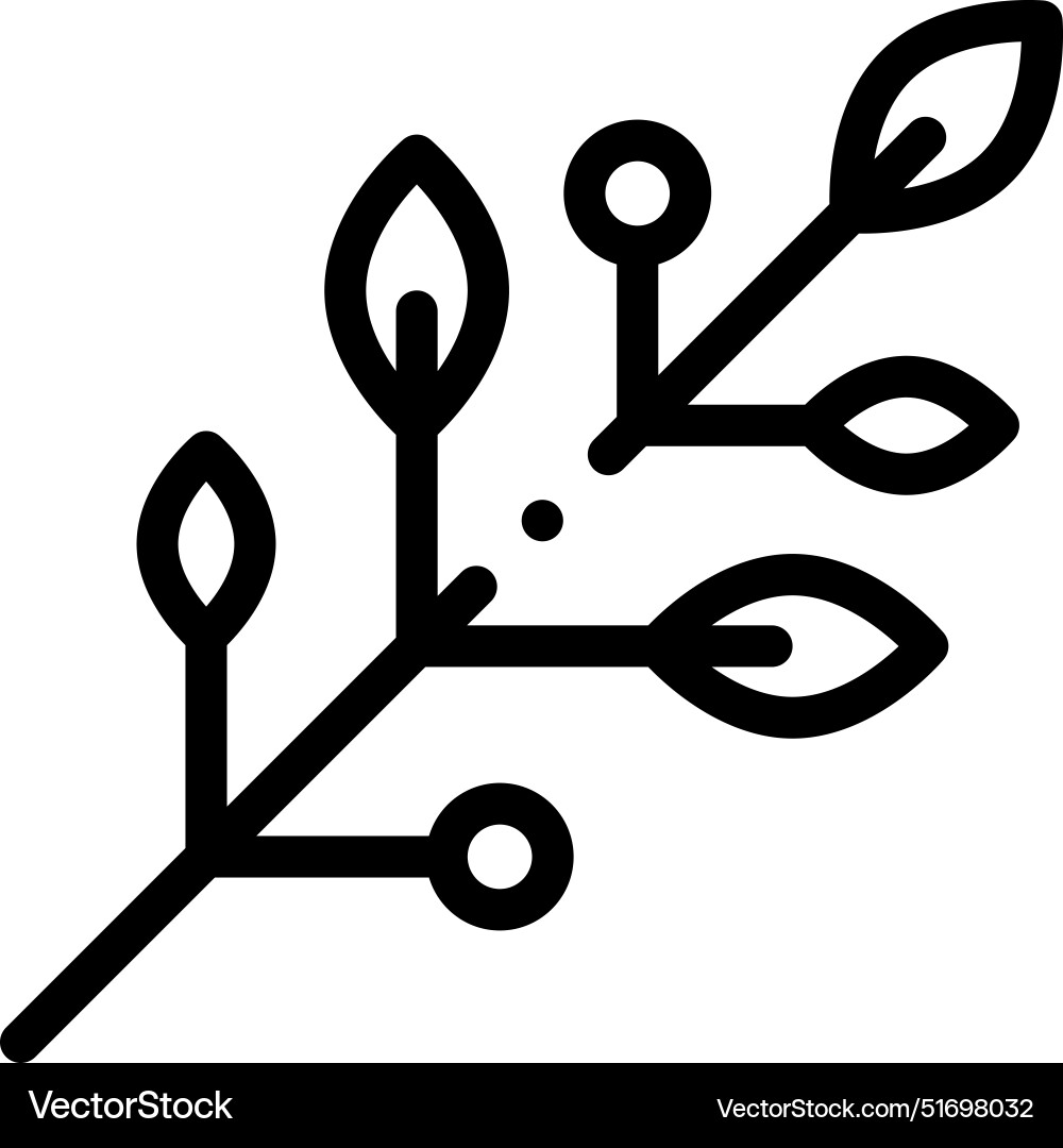 Branch icon thin linear style design isolated Branch icon thin linear style design isolated vector image