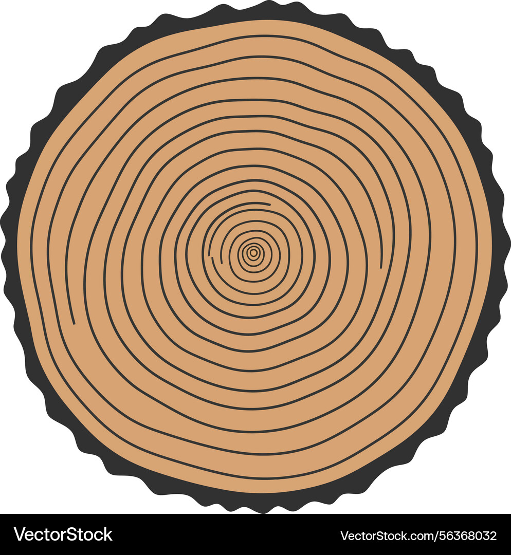 Tree trunk cross section with concentric rings Vector Image