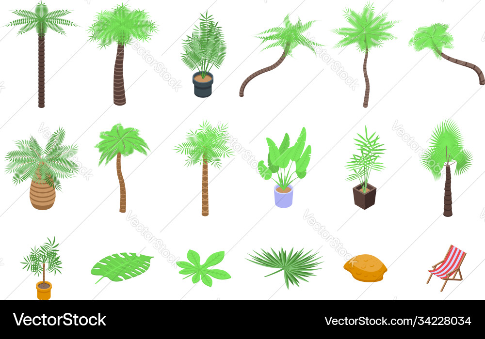 Palm tree icons set isometric style Palm tree icons set isometric style vector image