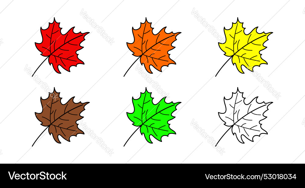 Set of color isolated maple leaves Vector Image