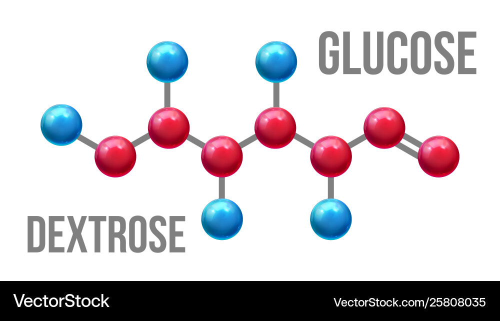 Glucose dextrose structure molecular model vector image