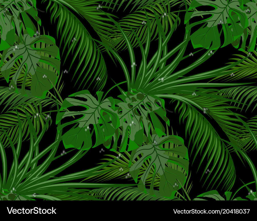 Tropical Palm Leaves on Black Vector Image
