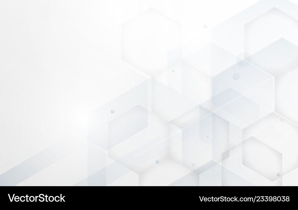 Modern Hexagonal Tech Background vector image