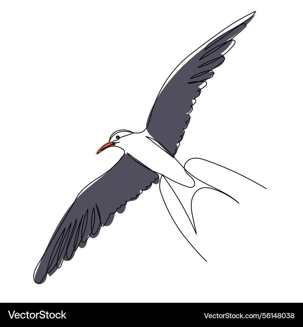 Swallow sketch in continuous line on a white Vector Image