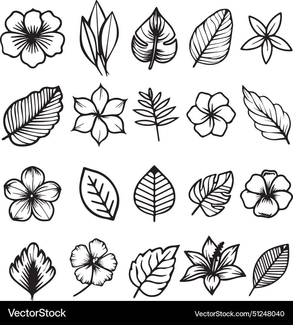 Hand drawn botanical elements set Royalty Free Vector Image