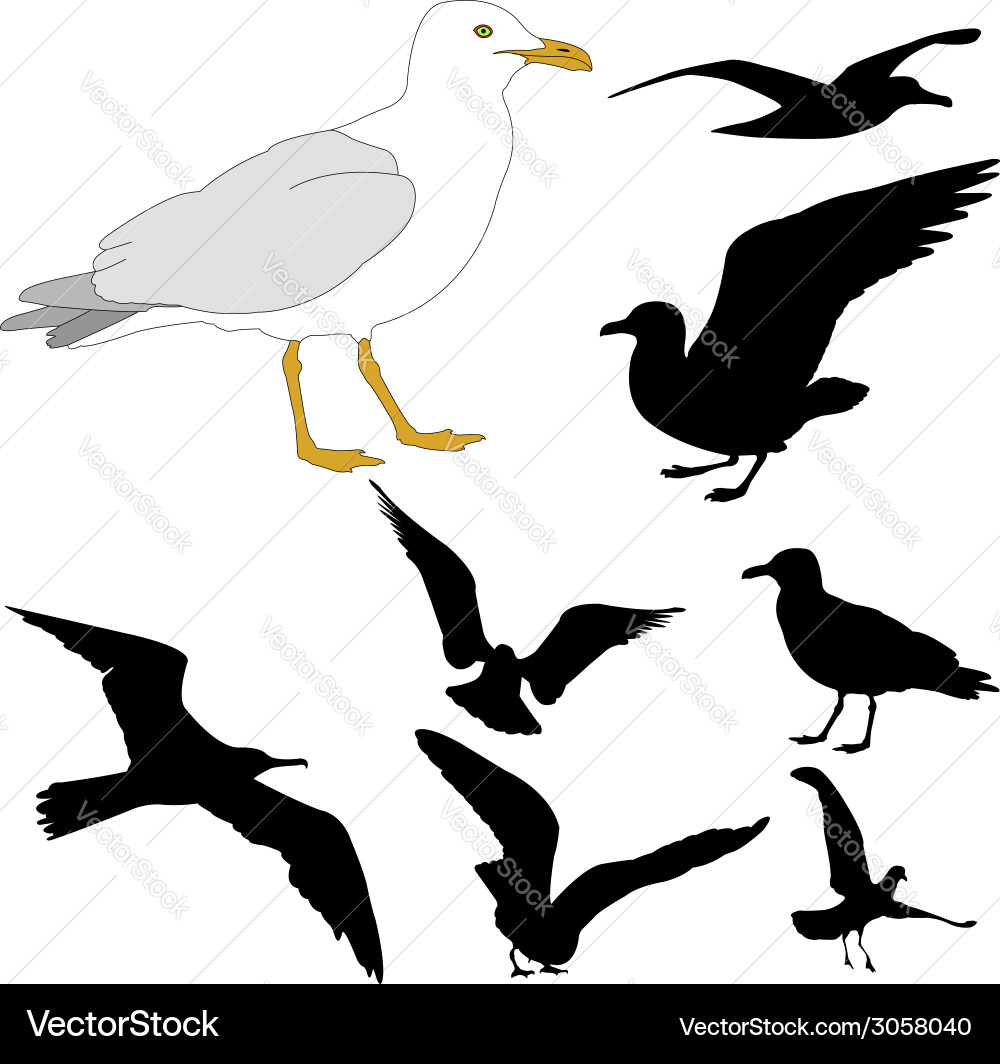 Seagull Silhouettes on a Blue Sky Vector Image