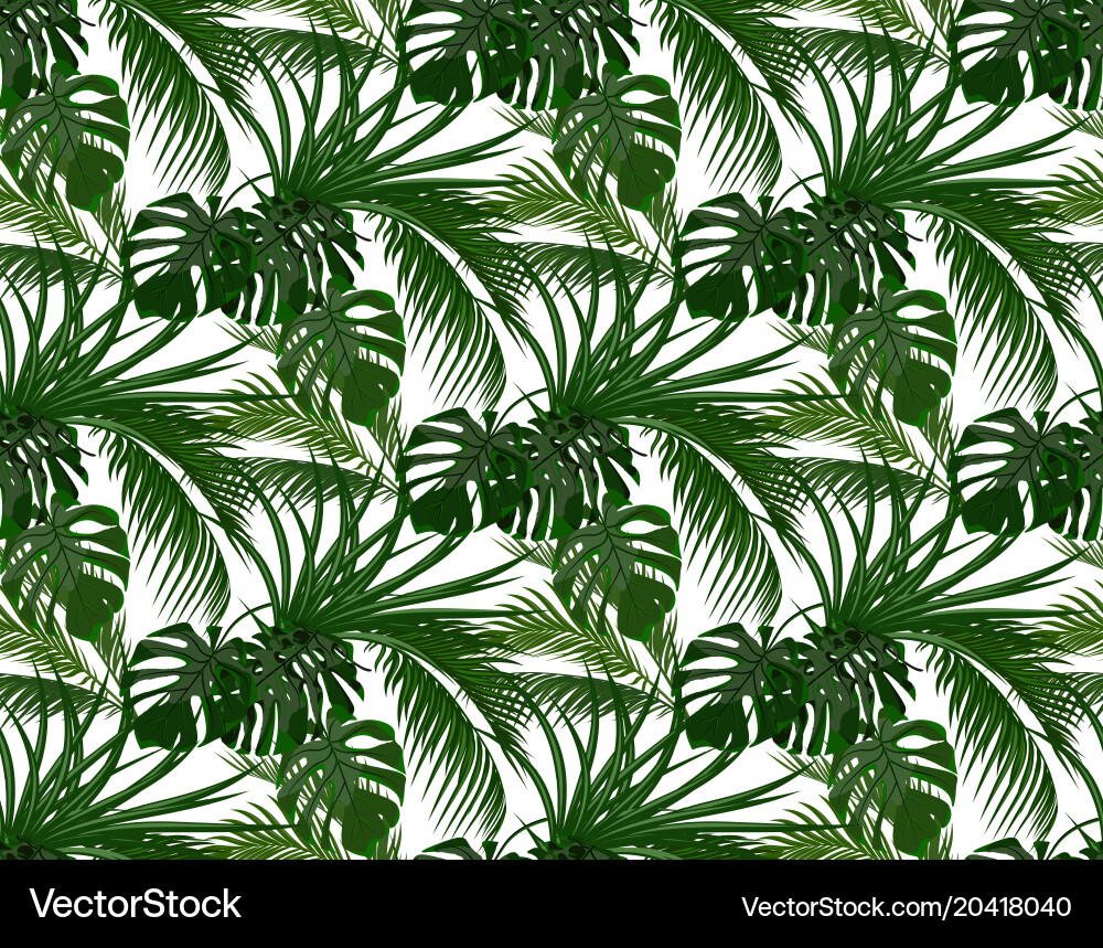 Tropical Palm Leaves Vector Image