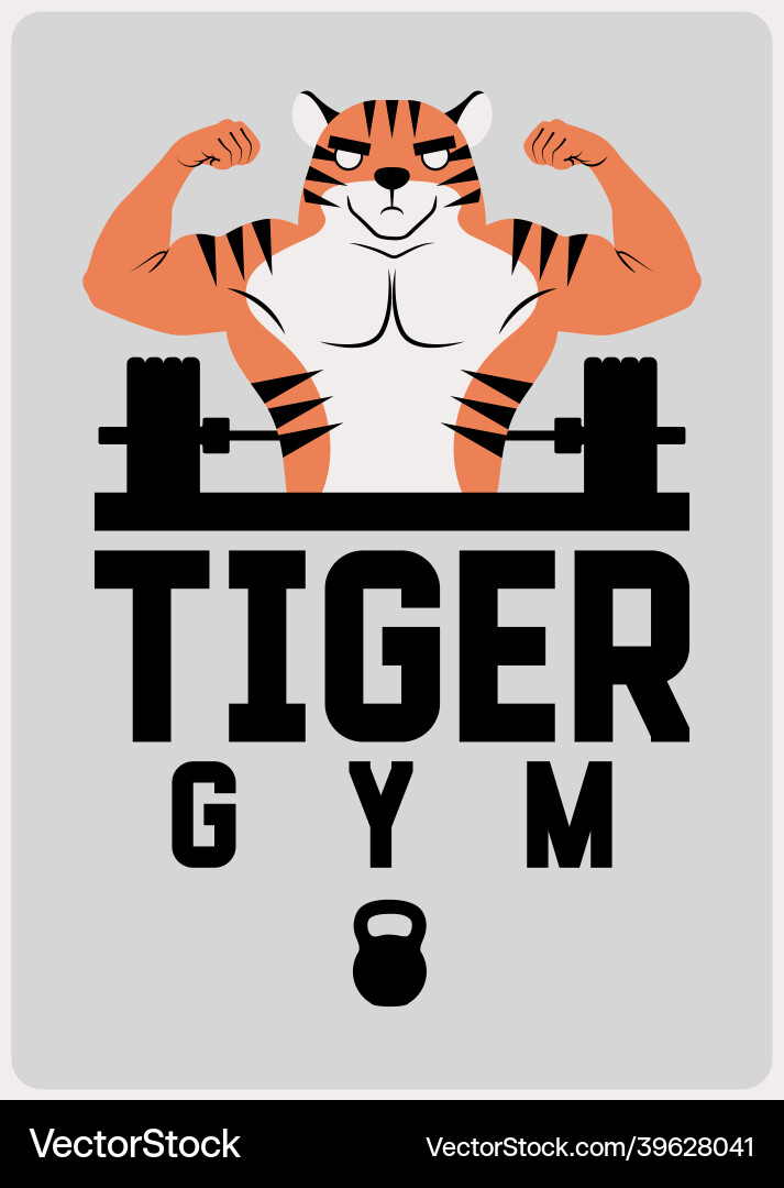 Gym sport club poster or logo with muscular tiger Gym sport club poster or logo with muscular tiger vector image
