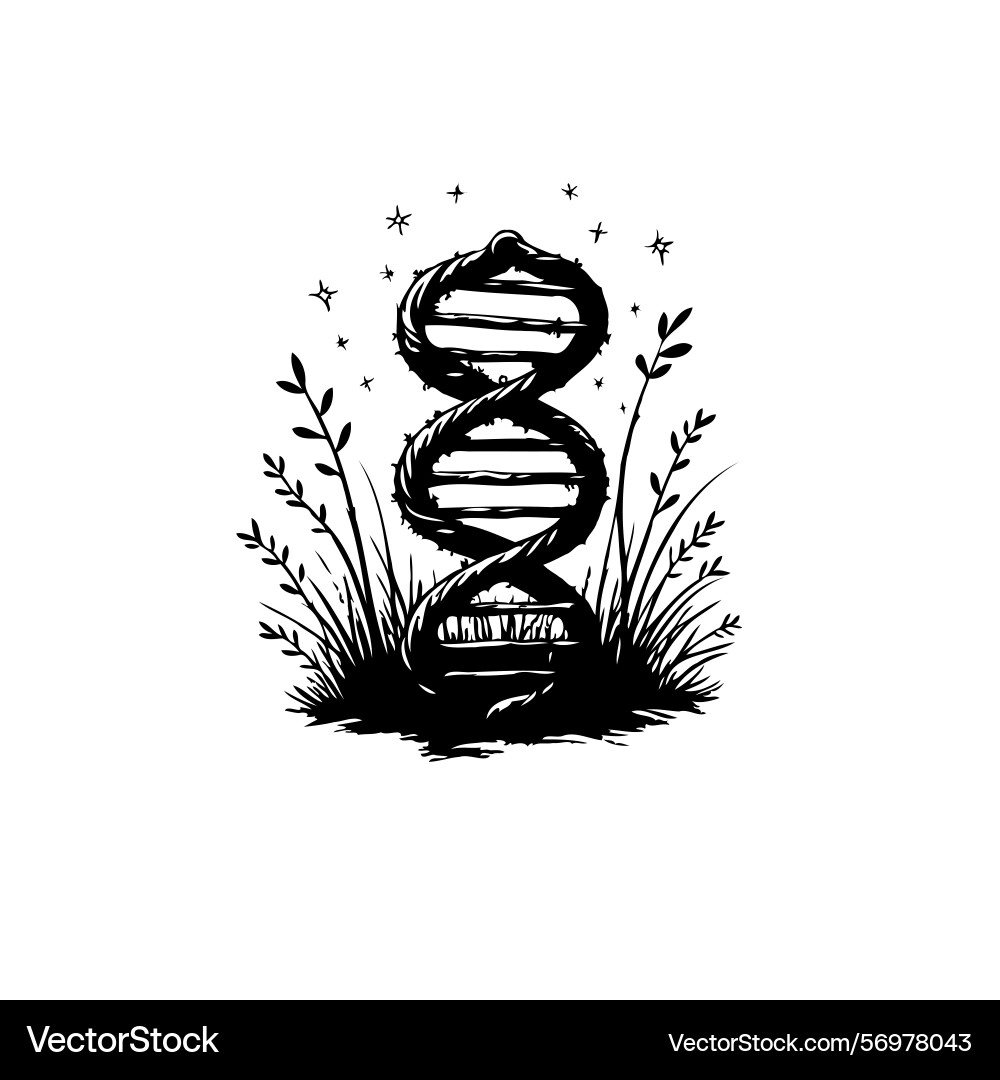Artistic rendering of a dna helix rising from vector image