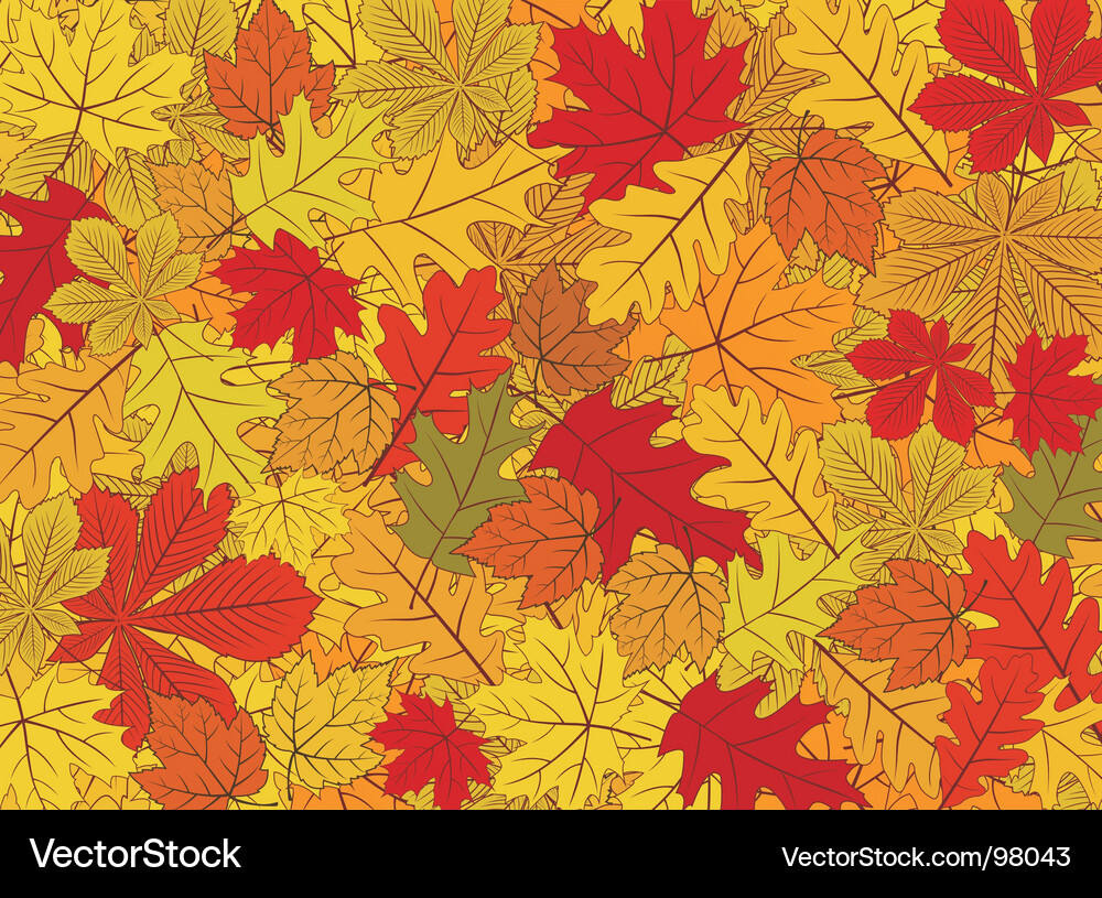 Autumn Leaf Pattern Background Vector Image