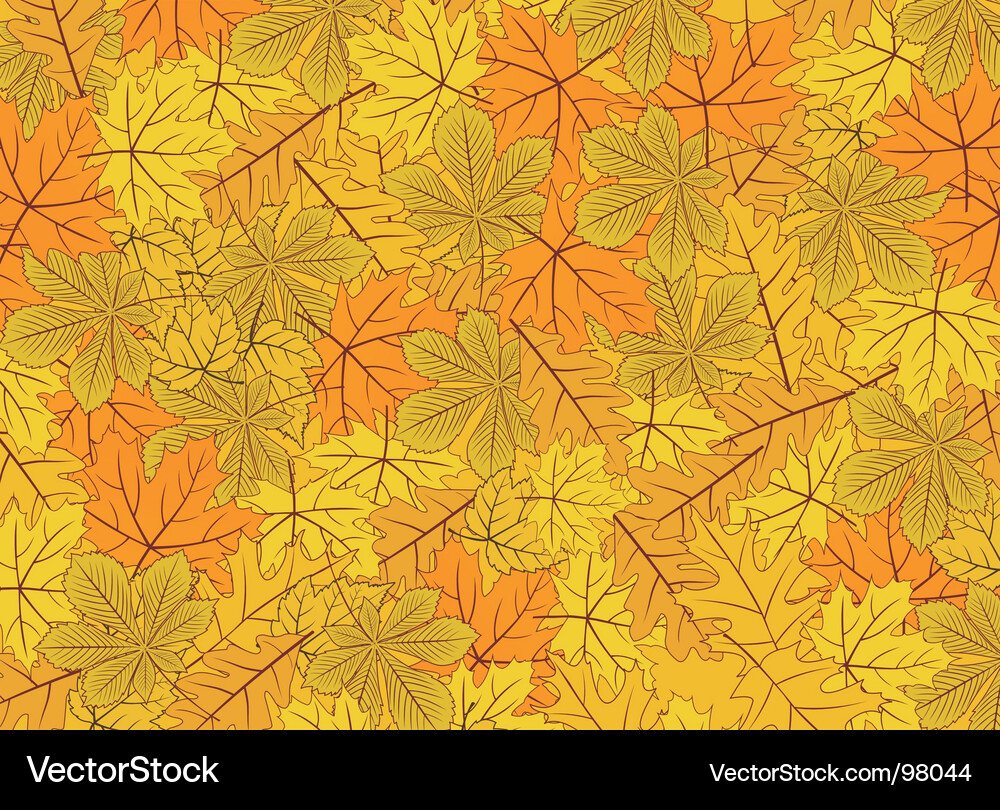 Autumn Leaf Pattern Background Vector Image